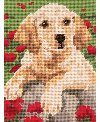 Anchor Tapestry Starter Kit - Labrador Puppy (MR941)
