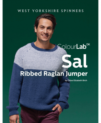 WYS Sal Ribbed Raglan Jumper in Colourlab DK (DBP0148)